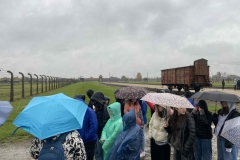 att.ackZMacC931P4bBYD5_d3O-xyEgU7wDhRZ80M50t11s